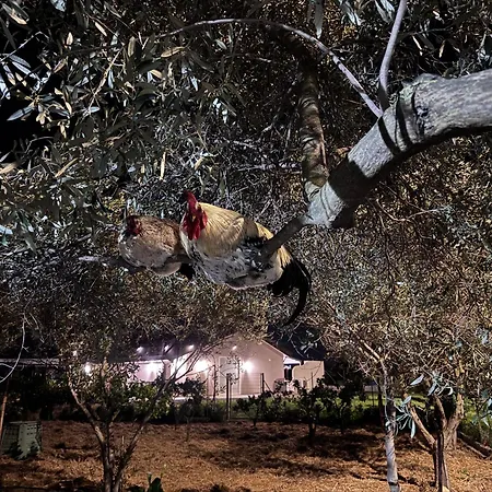 Le Potager Guest house Quartu Sant'Elena